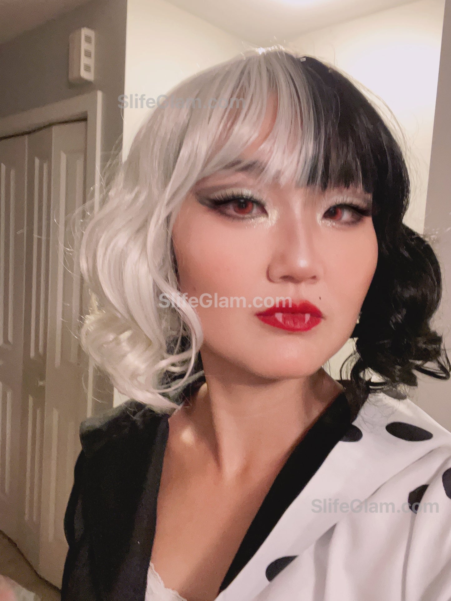 Cruella de Vil Wig Black and White Wig 2 Tone Short Bob Wig Halloween Costume Wig