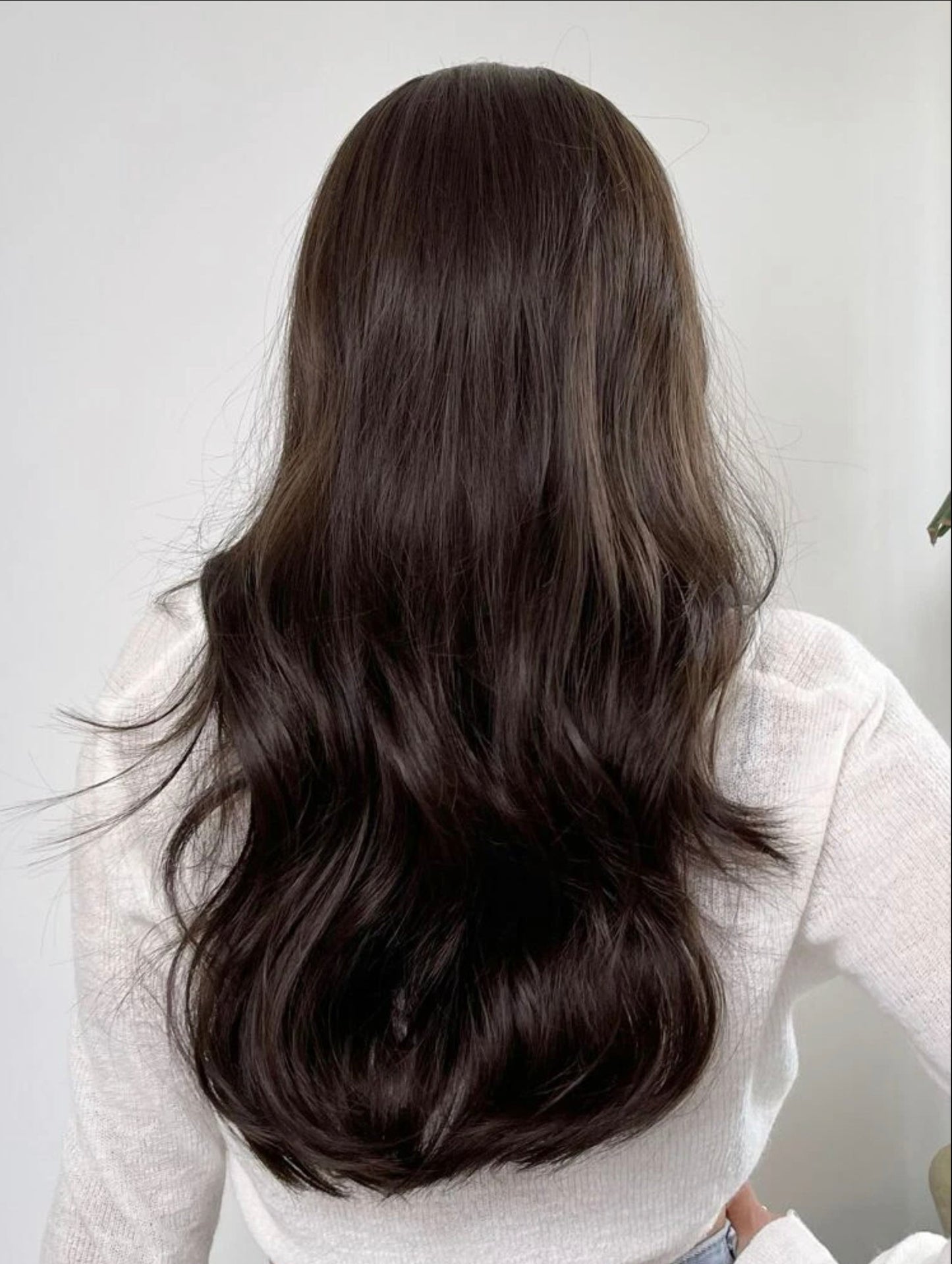 Realistic Dark Brown Wig Long Wavy Natural Realistic